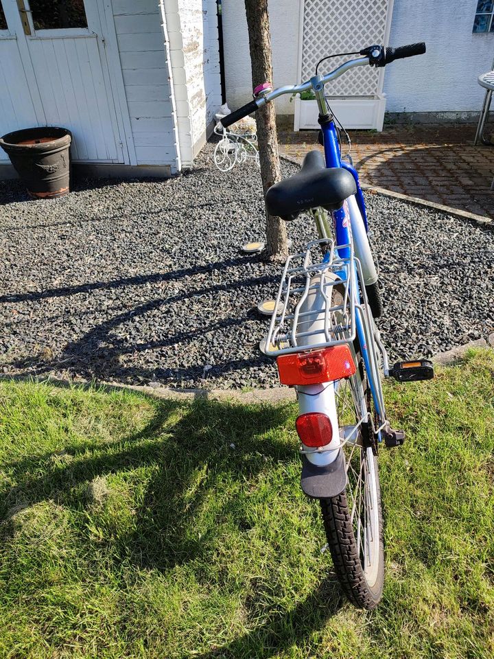 Kinder/Jugend Fahrrad für Mädchen, Girls Bike, 24" in Rülzheim