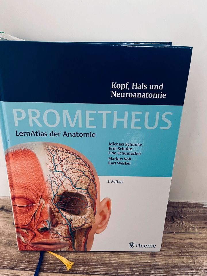 Prometeus Kopf, Hals und Neuoanatomie in Blankenfelde-Mahlow
