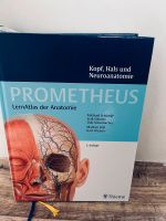 Prometeus Kopf, Hals und Neuoanatomie Brandenburg - Blankenfelde-Mahlow Vorschau