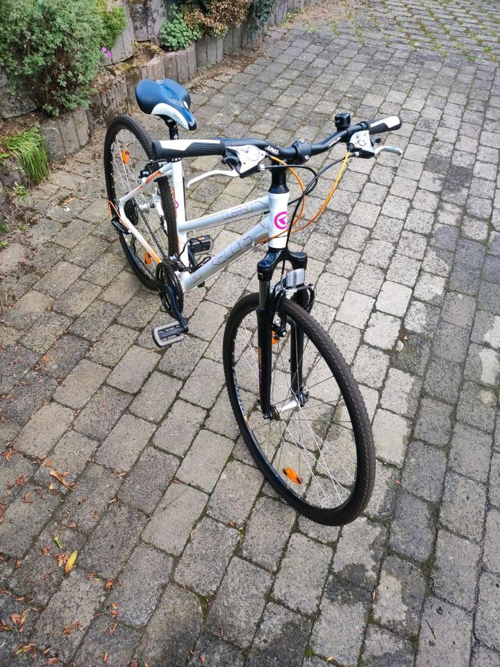 Damen Fahrrad 19 Zoll in Netphen