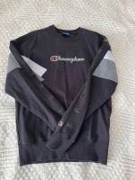 Champion Sweatshirt Dithmarschen - Meldorf Vorschau