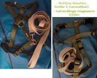 Set*AniOne Geschirr Hunde|S|Grün +neue Leine Hundeleine|Grau Nordrhein-Westfalen - Krefeld Vorschau