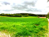 landwirtschaftliches Grundstück mit Perspektive in Berching-Erasbach Bayern - Berching Vorschau