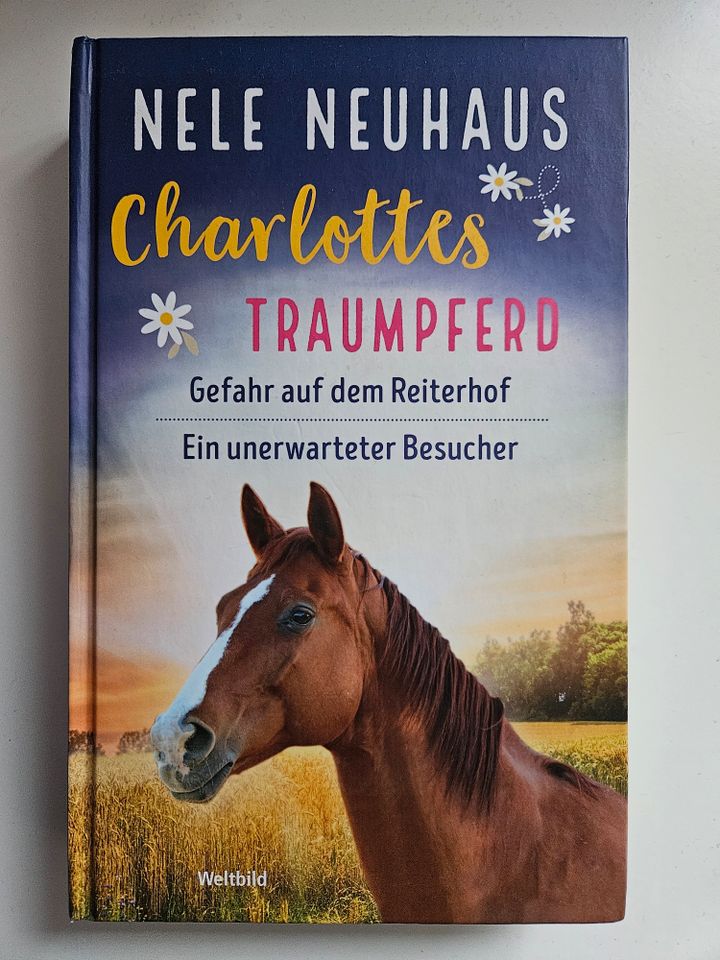 Buch: Charlottes Traumpferd Band 1-6, neuwertig in Kiel