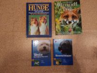 Hundebücher + 1 Buch von Heinz Sielmann Nordrhein-Westfalen - Xanten Vorschau