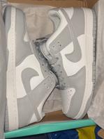 Nike Dunks Grau Niedersachsen - Hagenburg Vorschau