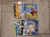 Quarter Horse Journal Jahrgang 2017 komplett 12 Hefte Baden-Württemberg - Epfendorf Vorschau