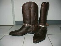 Westernstiefel Gr. 40 wie neu mit Kette Sachsen - Schönwölkau-Hohenroda Vorschau