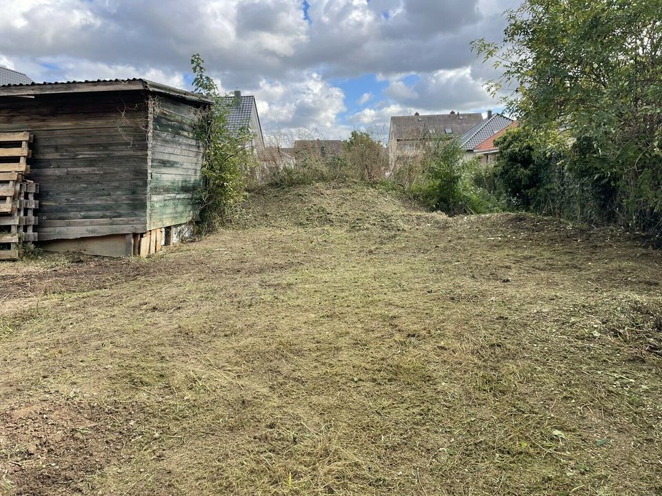 Gartenarbeit Gartenpflege Baumfällung Baumpflege in Hemmingen