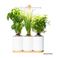 Indoor Garten Prêt à Pousser Lilo Connect mit LED. NP 129,99 € Bayern - Straubing Vorschau