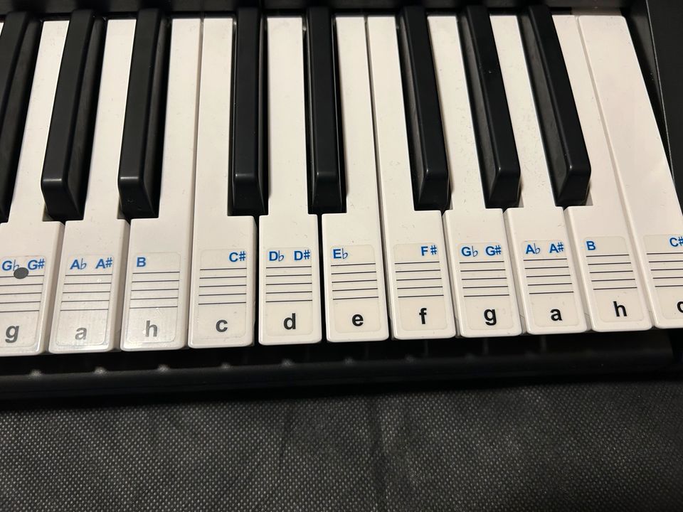 Yamaha Keyboard YPT-255 in Mörfelden-Walldorf