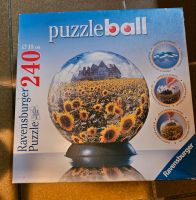 Puzzle Ball Bayern - Bayreuth Vorschau
