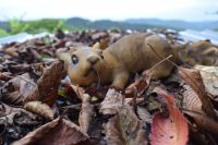 Eichhörnchen Deko Garten Herbst zur Wandmontage Rheinland-Pfalz - Waldbreitbach Vorschau