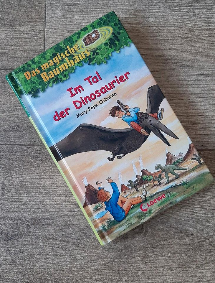 Buch Bücher Das magische Baumhaus Im Tag der Dinosaurier NEU in Nettersheim