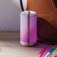 Scentsy Go Rose Gold oder Silver Neu Sachsen - Schkeuditz Vorschau