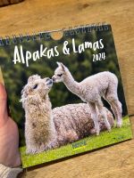 *NEU* Tischkalender 2024 Alpakas & Lamas Postkarten Korsch Bayern - Rosenheim Vorschau