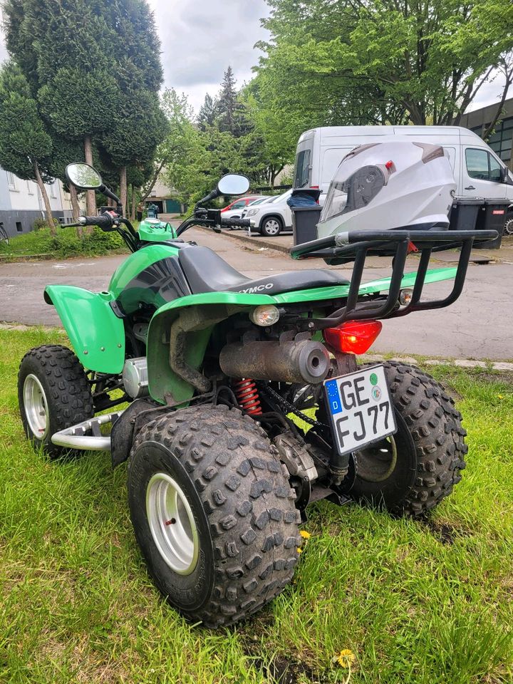 Kymco KXR 250 in Gelsenkirchen