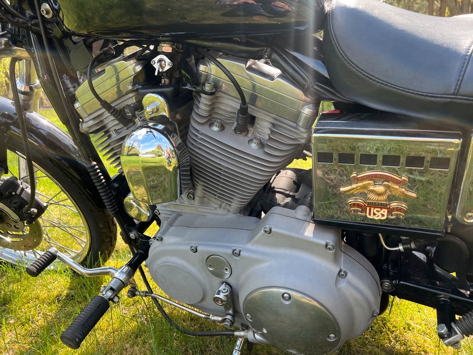 Harley Davidson XL 53C Sportster 883 in Königs Wusterhausen