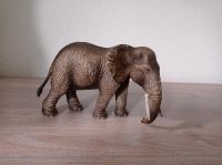 Schleich Tiere Elefant Hamburg - Harburg Vorschau