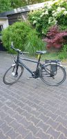 EBIKE GIANT HYBRID E - BIKE HERRENEBIKE Nordrhein-Westfalen - Gelsenkirchen Vorschau