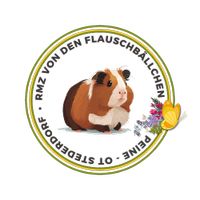 Lunkarya/ Glatthaar Meerschweinchen aus geprüfter Zucht Niedersachsen - Peine Vorschau