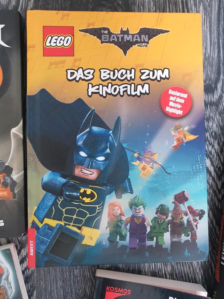 7x Kinder Buch LEGO NINJAGO BATMAN  DRACHENZÄHMEN ??? Lesespaß in Dortmund