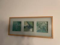Bild/ grünes Bild/ Natur/ Wandbild Nürnberg (Mittelfr) - Mitte Vorschau