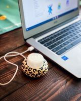 Scentsy Miniduftventilator Cheetah Leopard Leoprint Nordrhein-Westfalen - Hopsten Vorschau