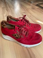 Tom Tailor Sneaker Größe 40 Niedersachsen - Hann. Münden Vorschau