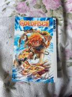 Goldfisch Manga Bielefeld - Schildesche Vorschau