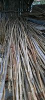 Bambusstangen Bambusstab verschiedene Größen u Längen zu verkaufe Baden-Württemberg - Alfdorf Vorschau