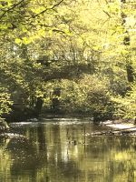 Ferienhaus am Fluss in Mecklenburg mit Kind und Hund Hessen - Hadamar Vorschau