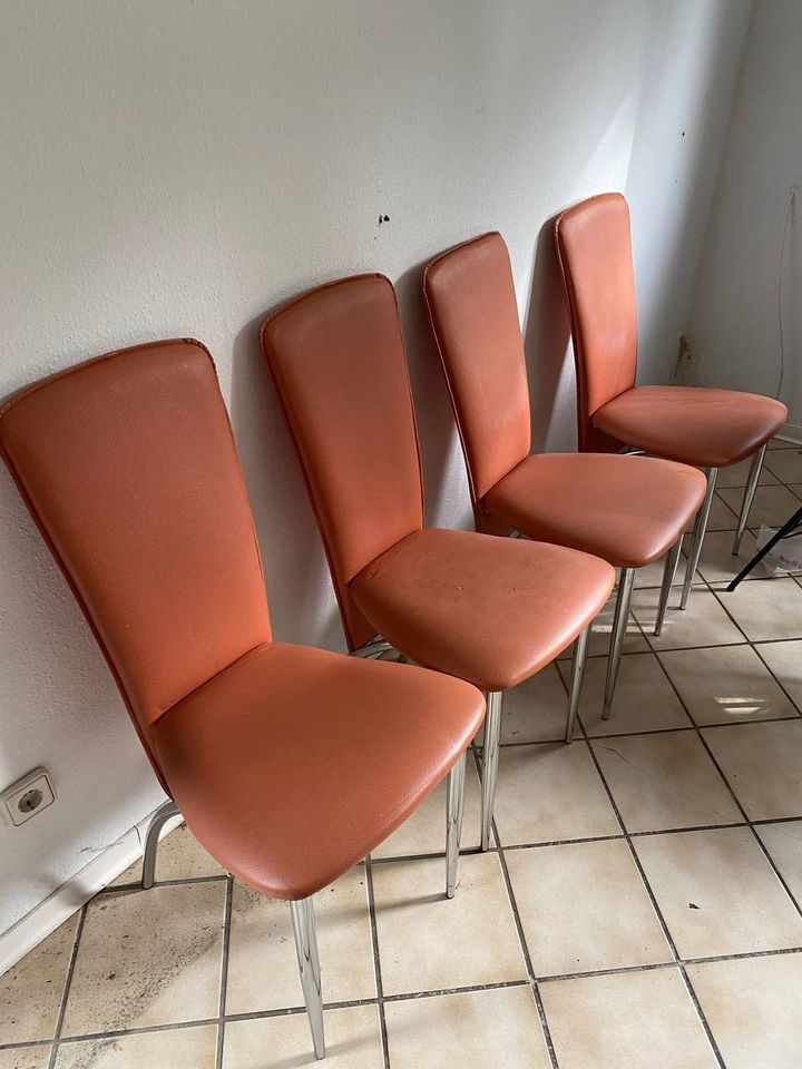Esszimmer Stühle in Gießen
