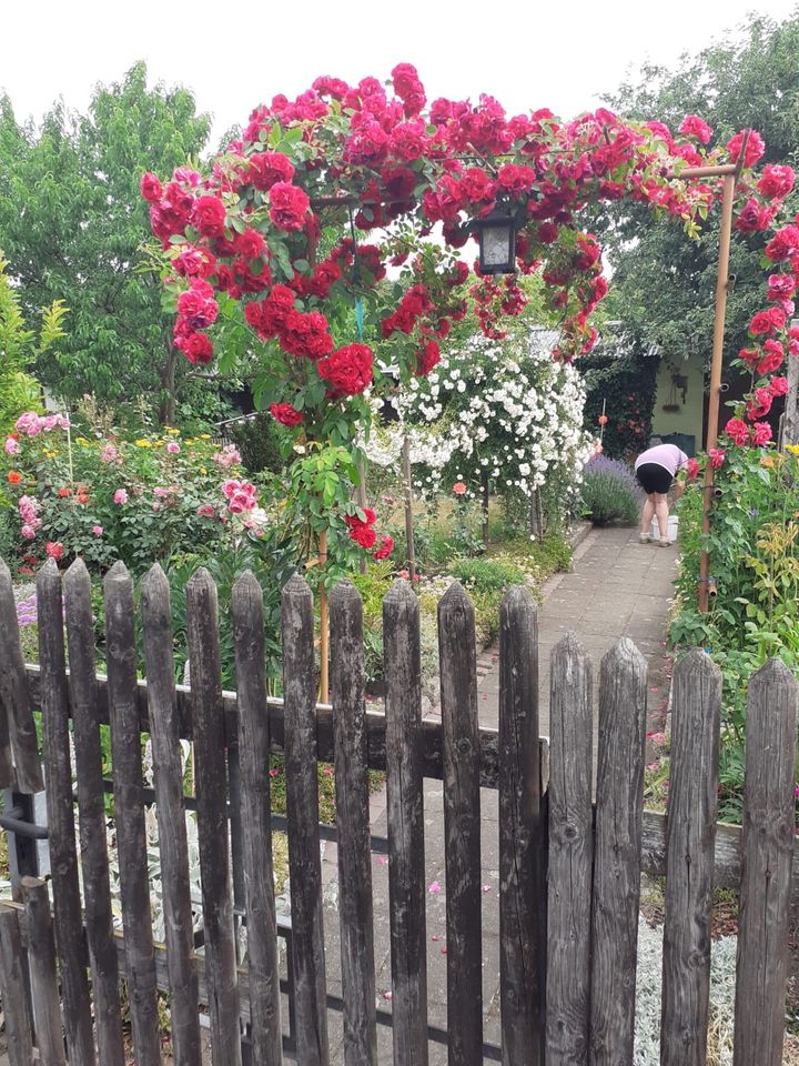 Wunderschöner Kleingarten in Syrau