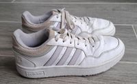 Adidas Sneaker Turnschuh Gr. 38,5 Hessen - Echzell  Vorschau