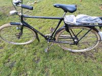 Herren Fahrrad der Marke Gazelle Sachsen-Anhalt - Osterburg Vorschau