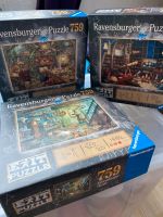 Exit Puzzle Ravensburger Essen-West - Frohnhausen Vorschau