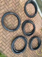 MTB MAXXIS Tubeless | 29“ Berlin - Marzahn Vorschau