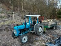 Fordson Dexta Traktor Thüringen - Steinbach-Hallenberg (Thüringer W) Vorschau