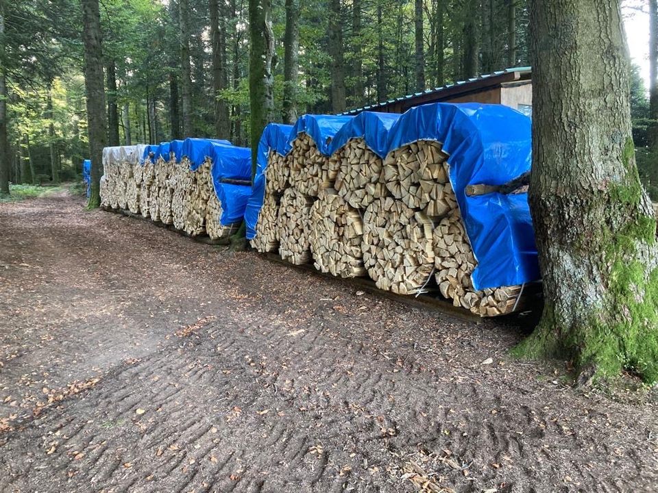 Holzbündel Brennholz Tanne/ Fichte in Herrischried