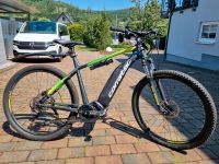 Fahrrad E-Bike Rheinland-Pfalz - Herdorf Vorschau