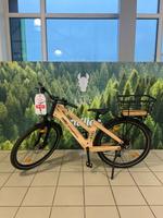 MY ESEL E-CROSS PRO Komfort - Elektro Fahrrad Holz Nachhaltig Sachsen - Zwickau Vorschau