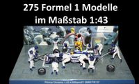 Konvolut (275 Stück) Formel 1 Modelle im Maßstab 1:43 Niedersachsen - Upgant-Schott Vorschau