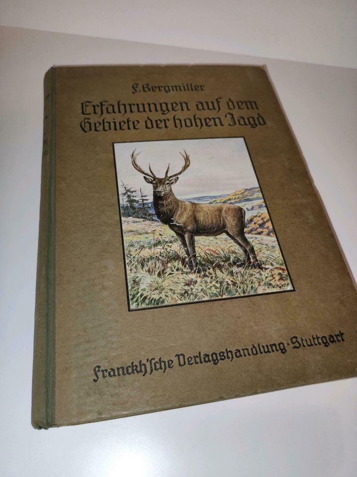 Erfahrungen auf dem Gebiete der hohen Jagd 1912 in Floh-Seligenthal-Kleinschmalkalden