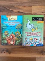 ⭐️ 2 Bücher - Erstleser 1. Klasse ⭐️ Hessen - Meinhard Vorschau