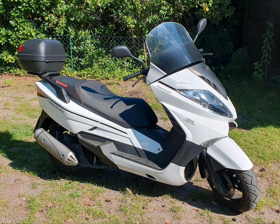 ‼️Kreidler Insignio 2.0 125ccm Motorrad Roller‼️ Steuerfrei ‼️ in Wedemark