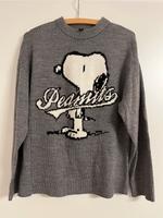 H&M Peanuts Snoopy Pullover XS Mädchen Damen grau Hessen - Vellmar Vorschau