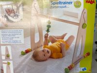 Spiel Trainer, Farben, Spaß Sachsen - Hartmannsdorf Vorschau