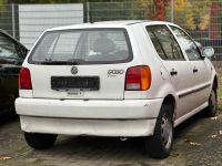 Volkswagen Polo 1,0 *4 Türig*Glashubdach Schleswig-Holstein - Stapelfeld Vorschau