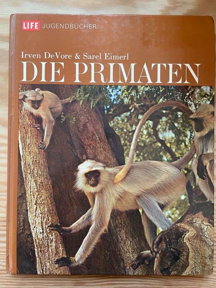 Die Primaten in Berlin